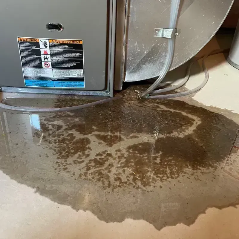 Appliance Leak Cleanup in Warren, MA